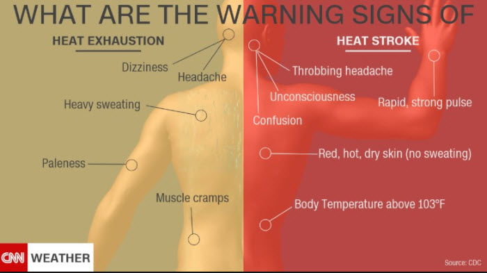 Symptoms from the heat include heat stroke and heat exhaustion. Know what symptoms to look for.